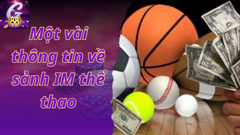 Khám phá một số nét nổi bật của sảnh cược IM thể thao