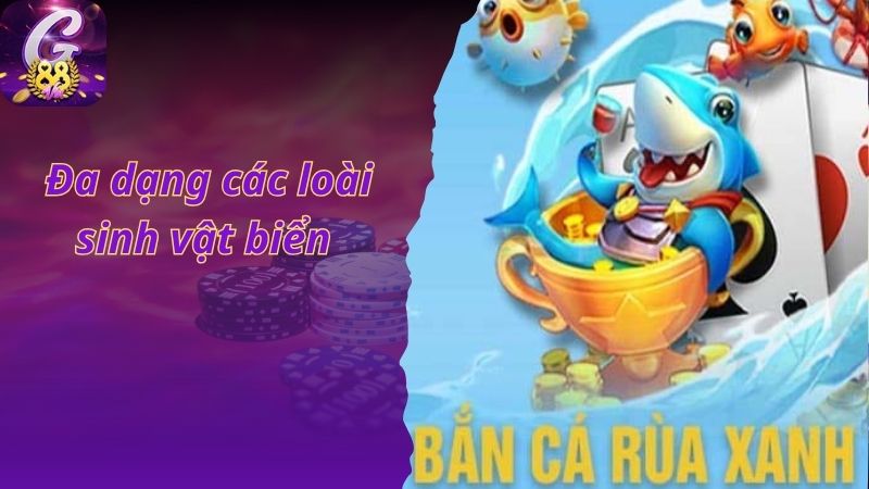 Đa dạng các loài sinh vật biển 